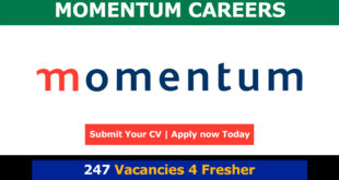 Momentum Careers